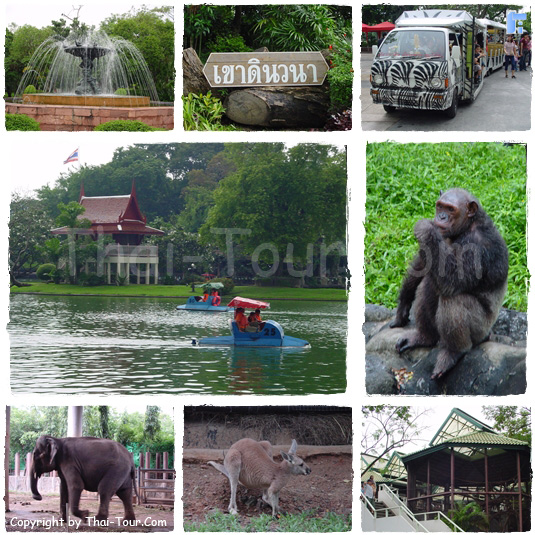 Dusit Zoo, Bangkok