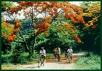 Excited with Canoeing and Mountain Biking