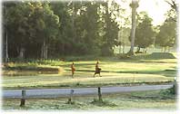 walking_monks.jpg (9013 bytes)