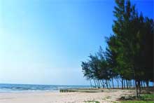 Casuarina Resort - Puktien