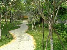 Casuarina Resort - Puktien