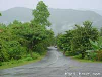 Road to Phuka National Park