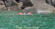 ดำน้ำ snorkel อ่าวม่วง