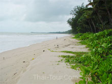 หาดบางสัก