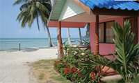 Phrueksa Beach Resort Koh Phangan, Room