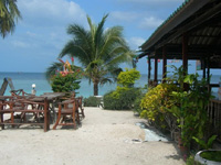 Seaboard Bungalow Koh Phangan, Photo Gallery