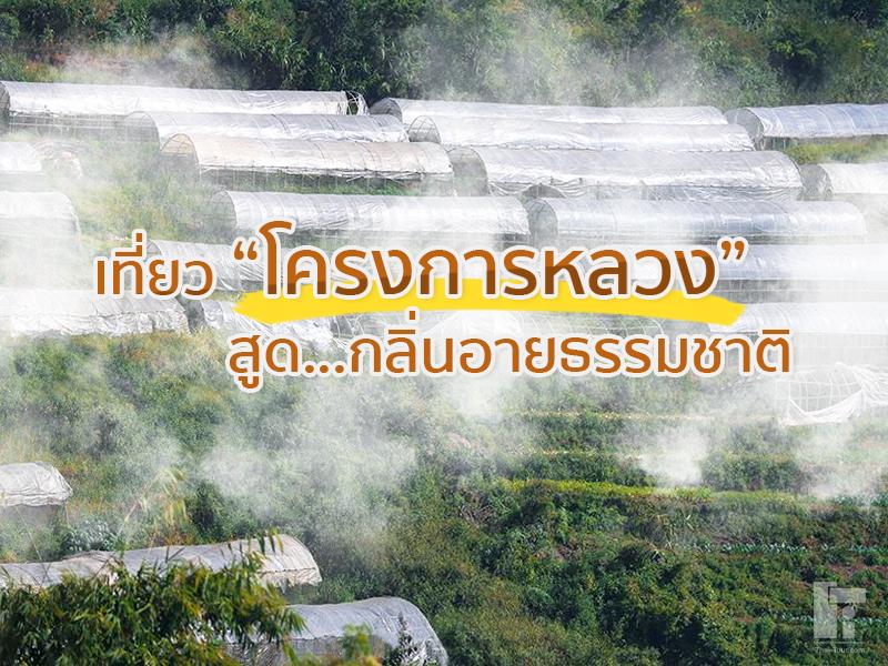 เที่ยวโครงการหลวงสูดกลิ่นอายธรรมชาติ