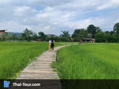 สะพานทุ่งนามุ้ย