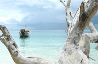 Click to enlarge Klong Nin Beach Resort